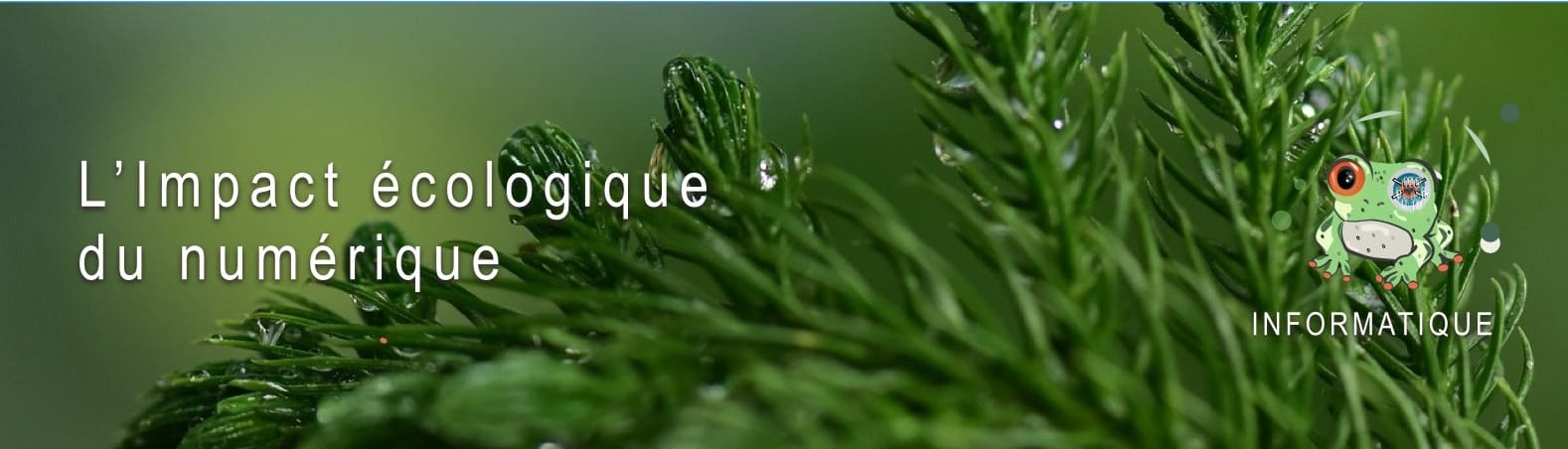 L'impact écologique du numérique