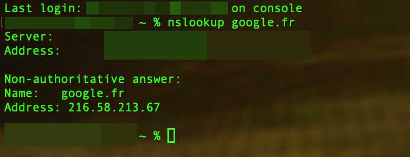 nslookup