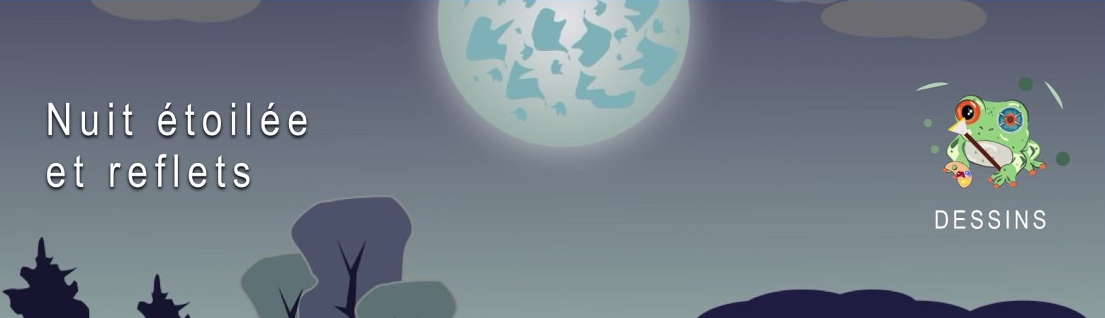 Dessin vectoriel Nuit étoilée et reflets